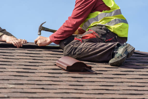 Best Best Roofing Contractors  in Columbia Falls, MT