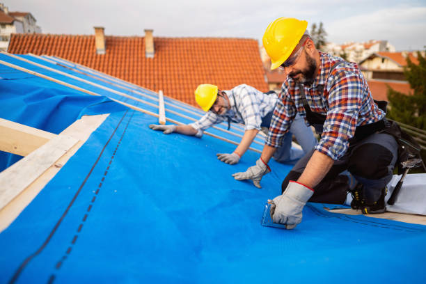 Best Roof Leak Repair  in Columbia Falls, MT