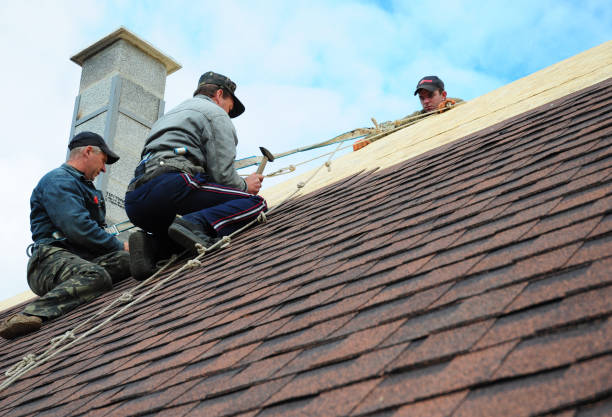Best Metal Roofing Contractor  in Columbia Falls, MT