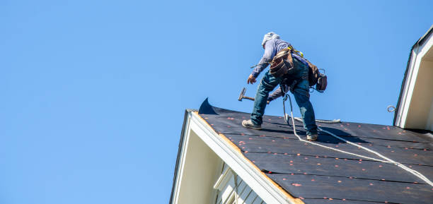 Best Flat Roof Repair Services  in Columbia Falls, MT